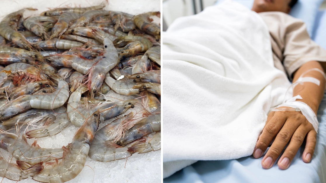 Radioactive shrimp recalled in several states as FDA issue cancer warning