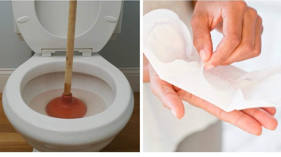 Woman divides opinion after calling out house guest for trying to flush maxi pad down toilet