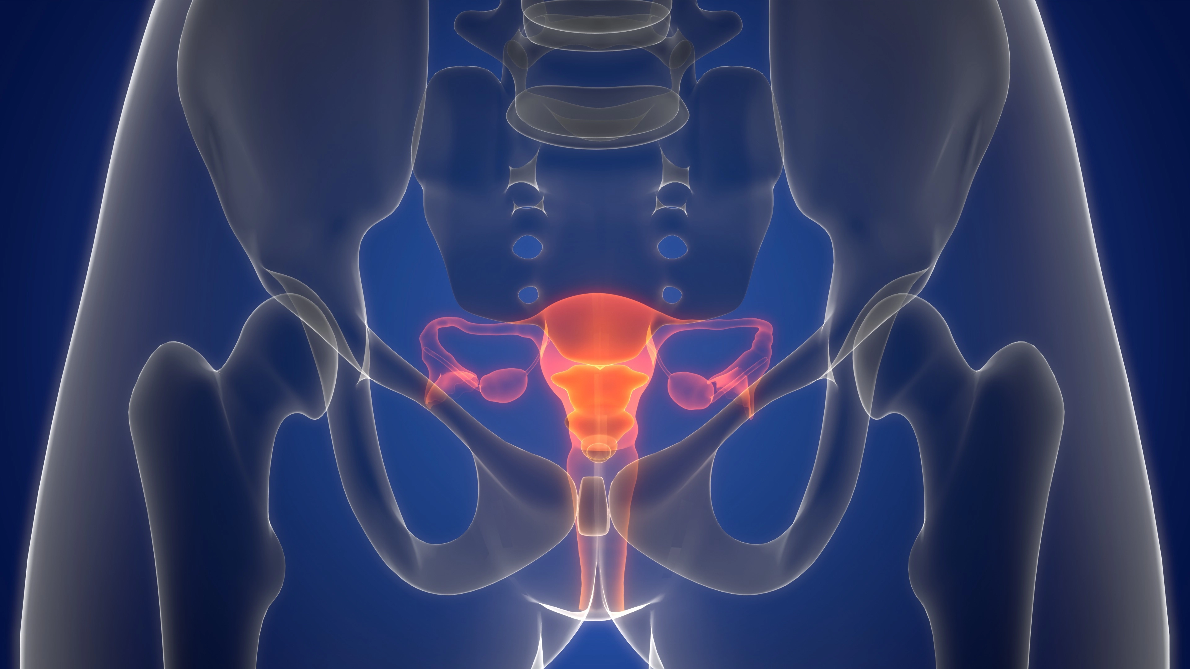 Can you ‘hold your period in’? These women think they can