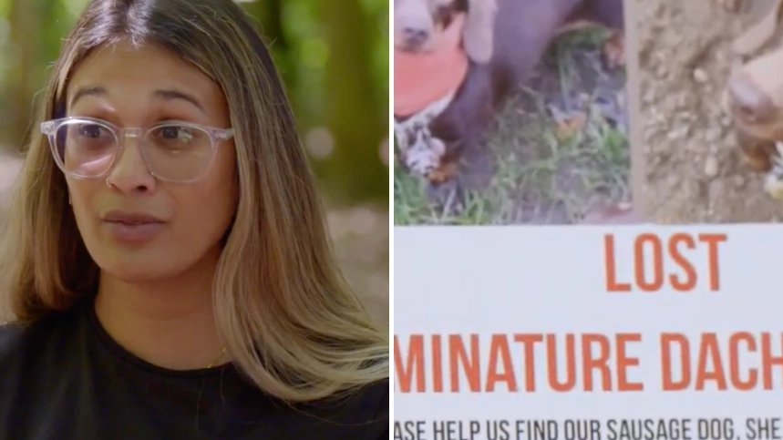 Woman reveals she lost £500 in ‘cruel’ dog-napping scam