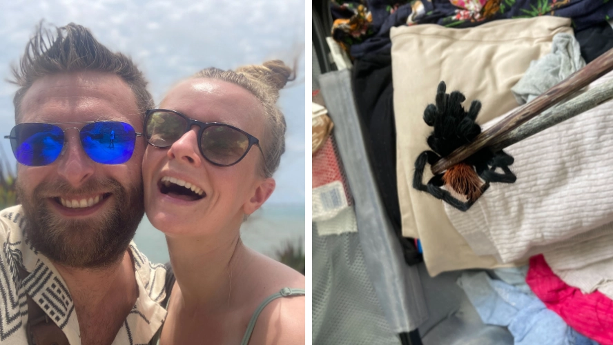 Horrified couple find giant tarantula in their luggage after coming back from holiday