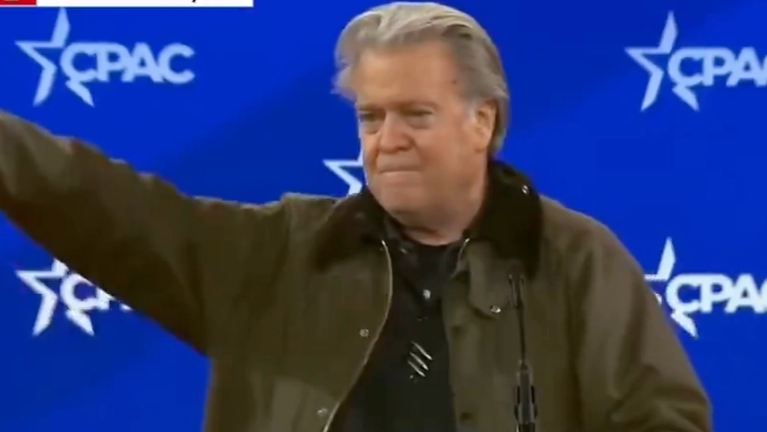 Trump's former aide accused of doing 'Nazi salute' weeks after Elon Musk sparked controversy for similar 'gesture'