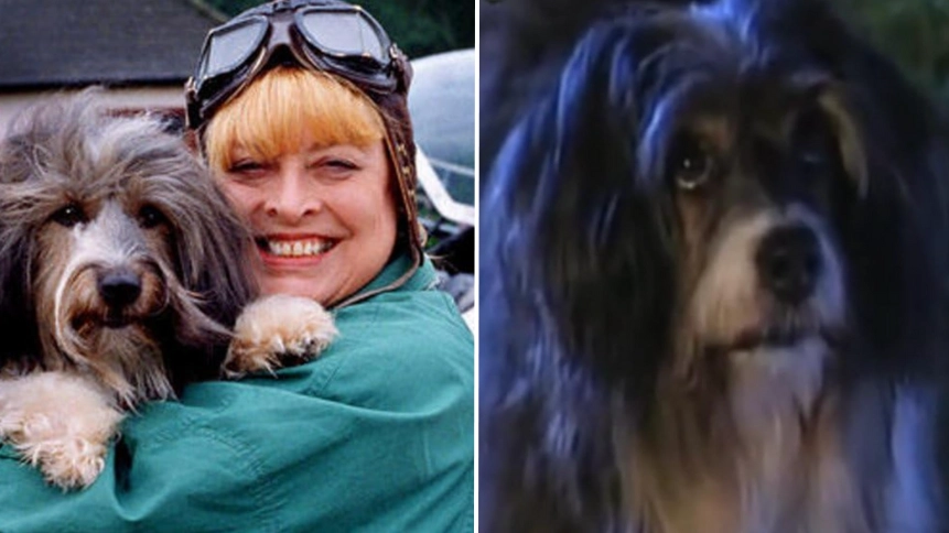 Sad truth behind iconic Come Outside dog Pippin as people get nostalgic over show