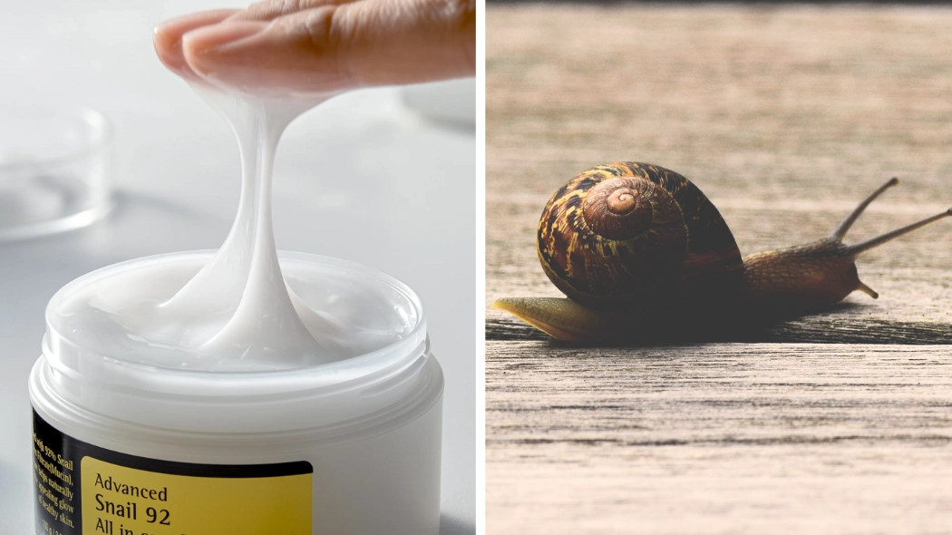 Women are going wild for ‘game-changing’ face cream made from real snail slime