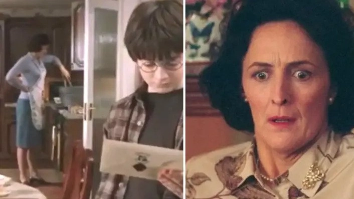 Harry Potter fans are just realising what Aunt Petunia is doing in kitchen scene