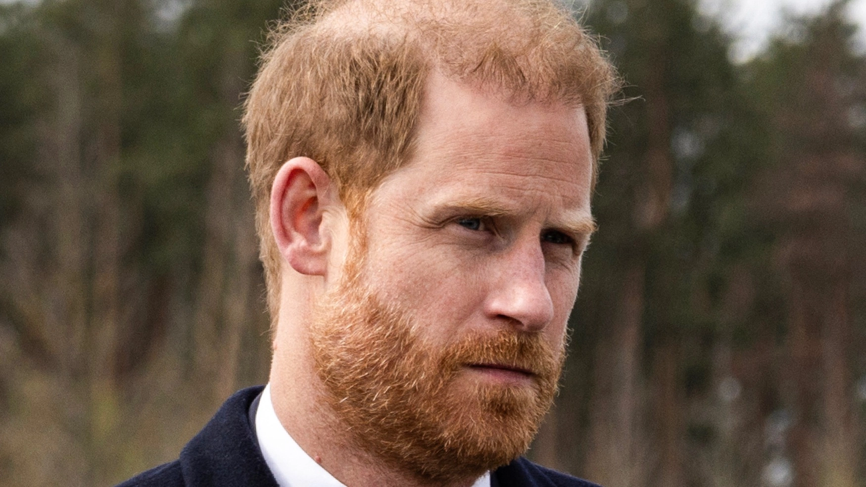 Prince Harry gives surprising update on his Royal Family role