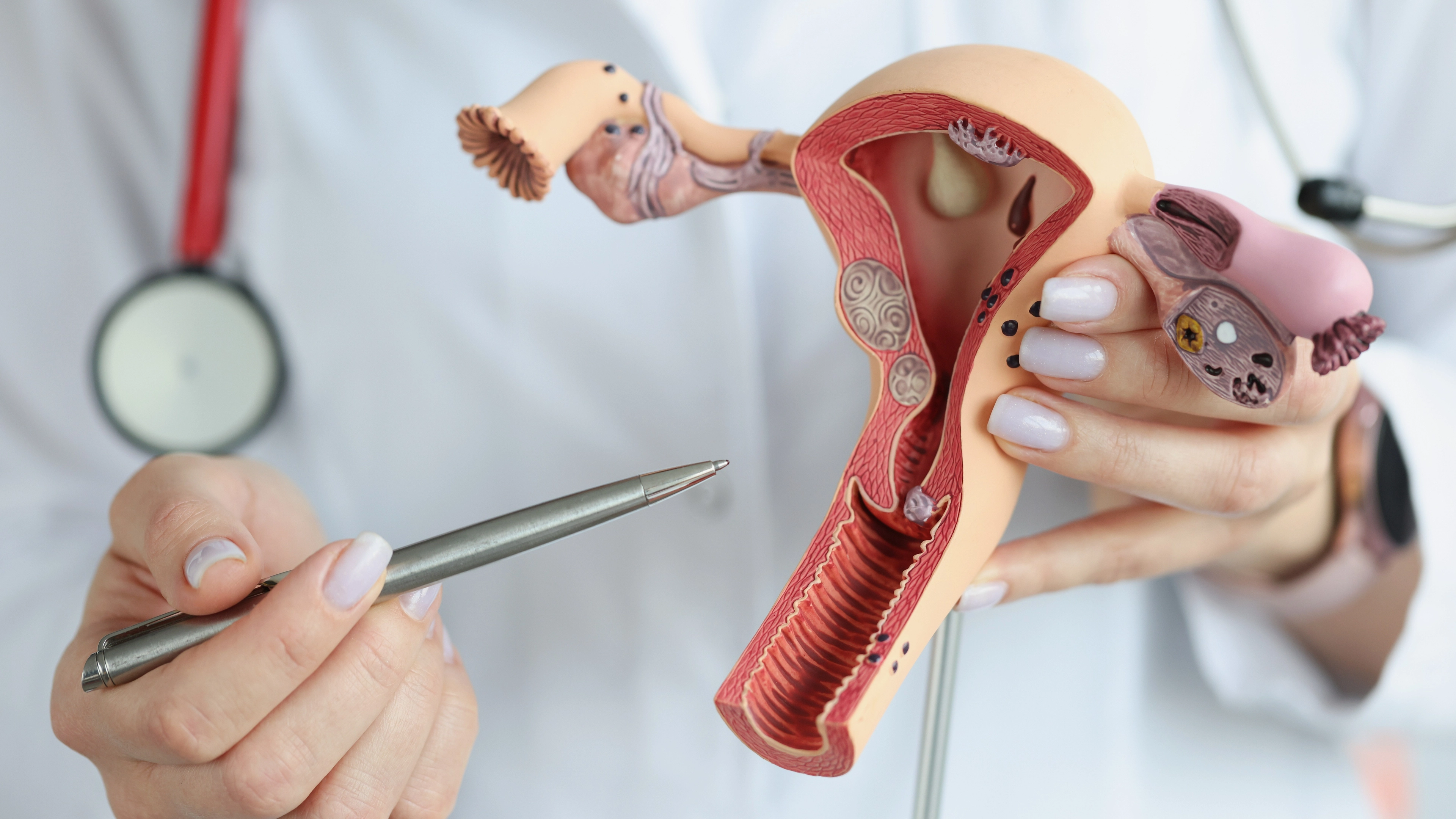 Nearly half of Gen Z men think the clitoris is inside the vagina