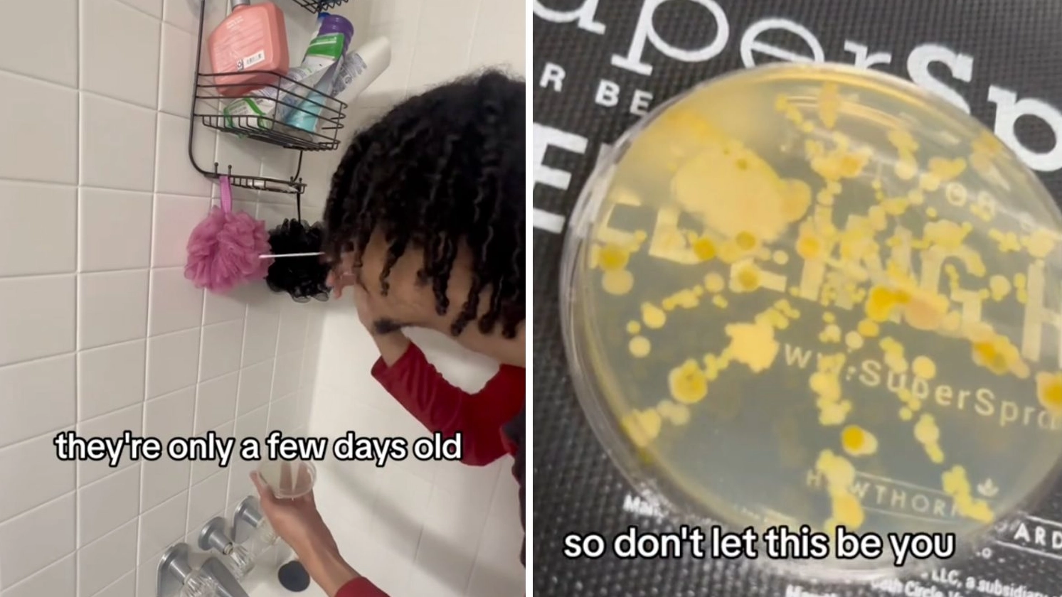 Disturbing experiment shows grim reality of what's actually inside your loofah