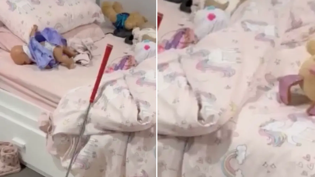 Unnerving photo of incredibly dangerous animal in child’s bed is nearly ‘impossible to spot’