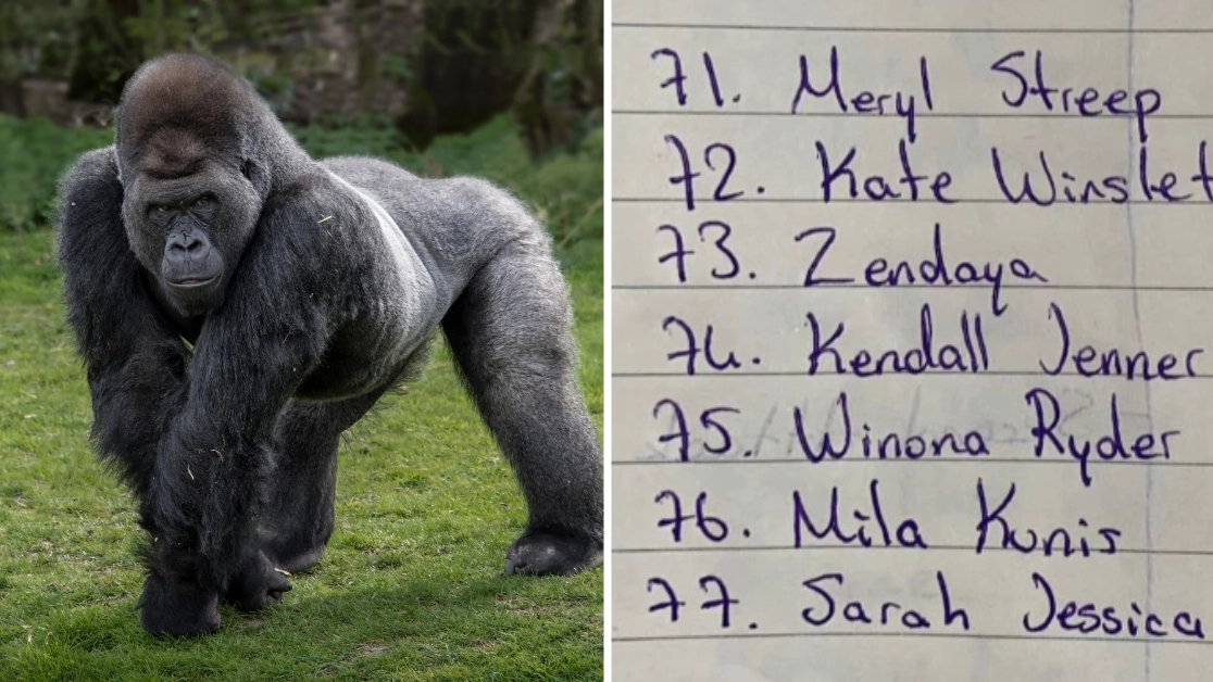 100 women have been 'selected' to fight one gorilla and people can’t get over the line up