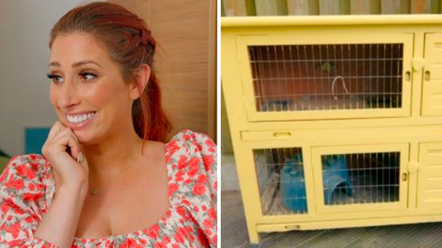 Stacey Solomon's TV show hit with over 1,500 animal cruelty complaints