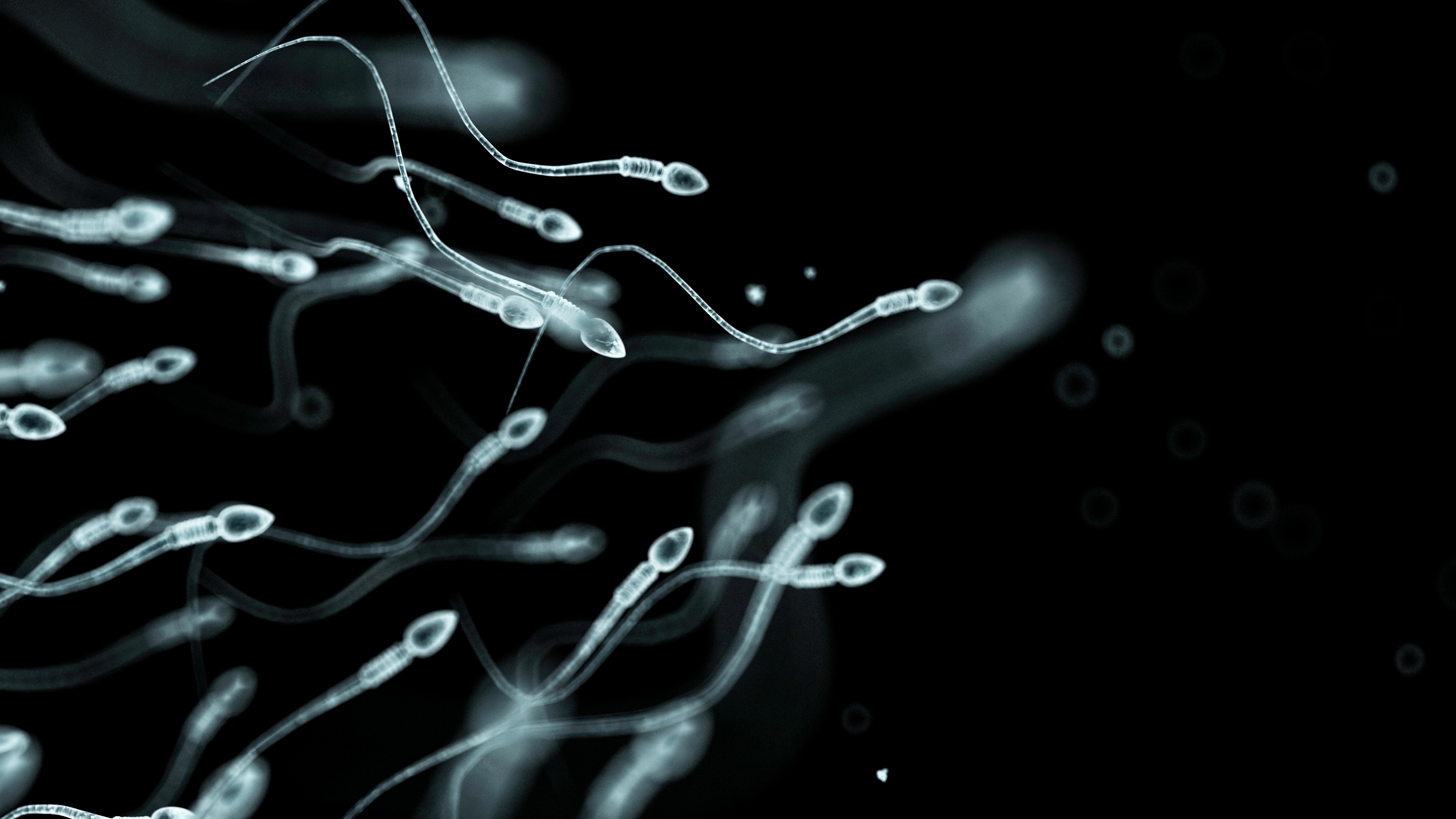 How often a man needs to ejaculate to improve sperm health, according to new research
