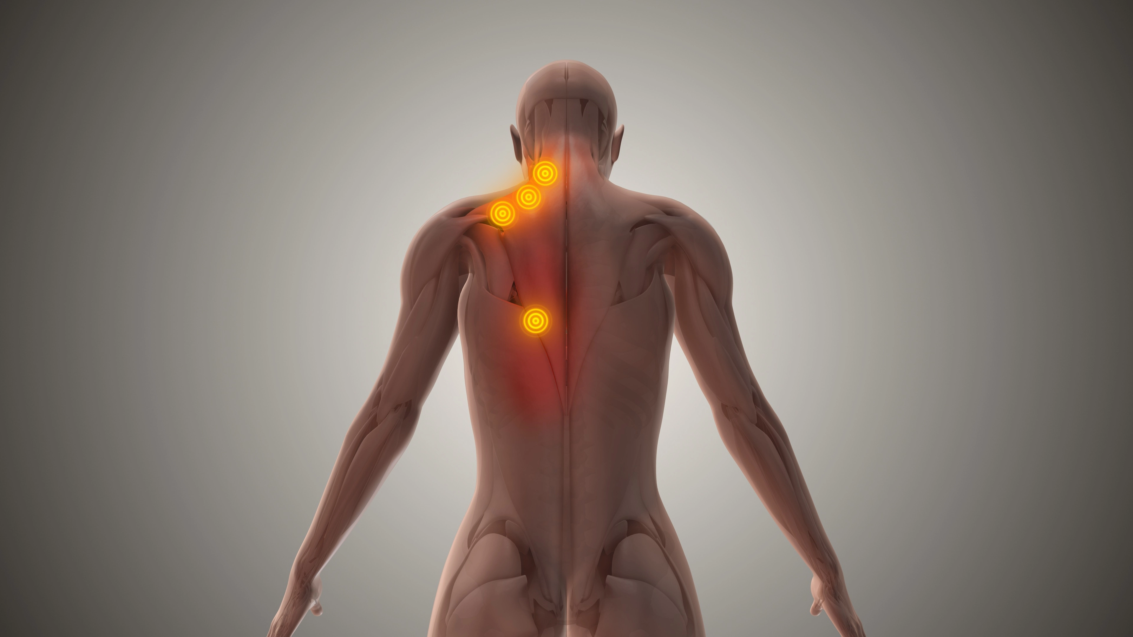 ‘Brown fat’ explained and where it’s usually stored