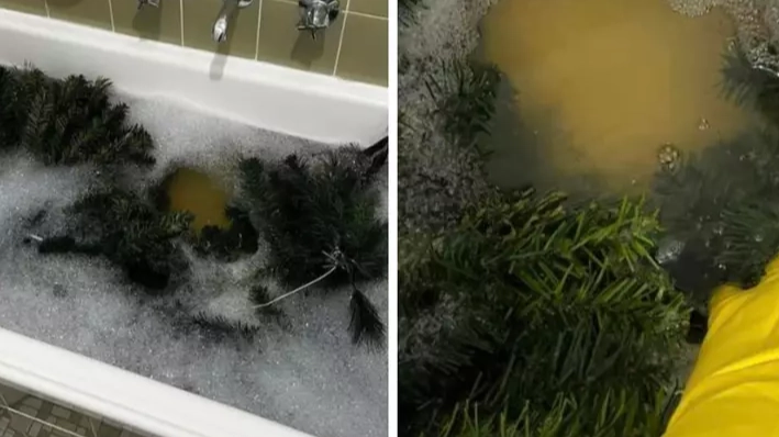 Woman divides opinion after revealing she washes her Christmas tree