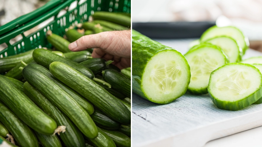 Salmonella outbreak linked to cucumbers leaves hundreds of people ill  
