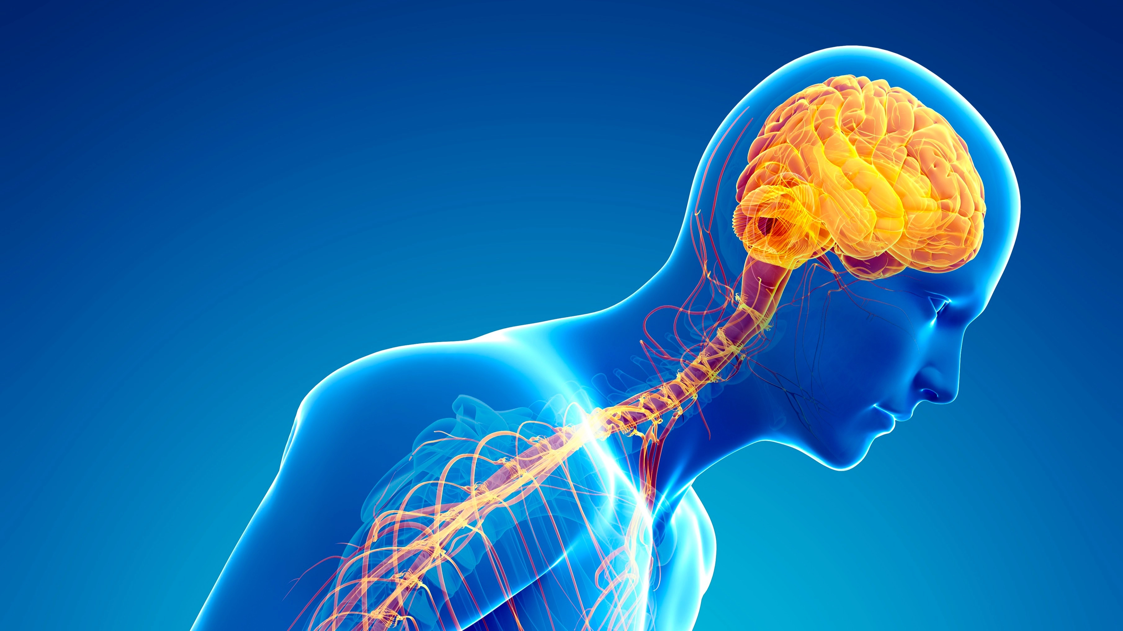 Subtle Parkinson's symptoms that can show up years before diagnosis
