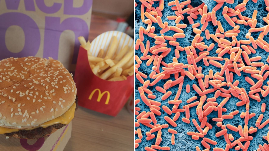 Officials issue urgent warning after E. coli outbreak linked to McDonald’s products leaves one dead and 49 ill 
