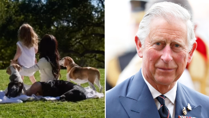 Expert reveals ‘hidden message’ Meghan Markle sent to King Charles in latest post