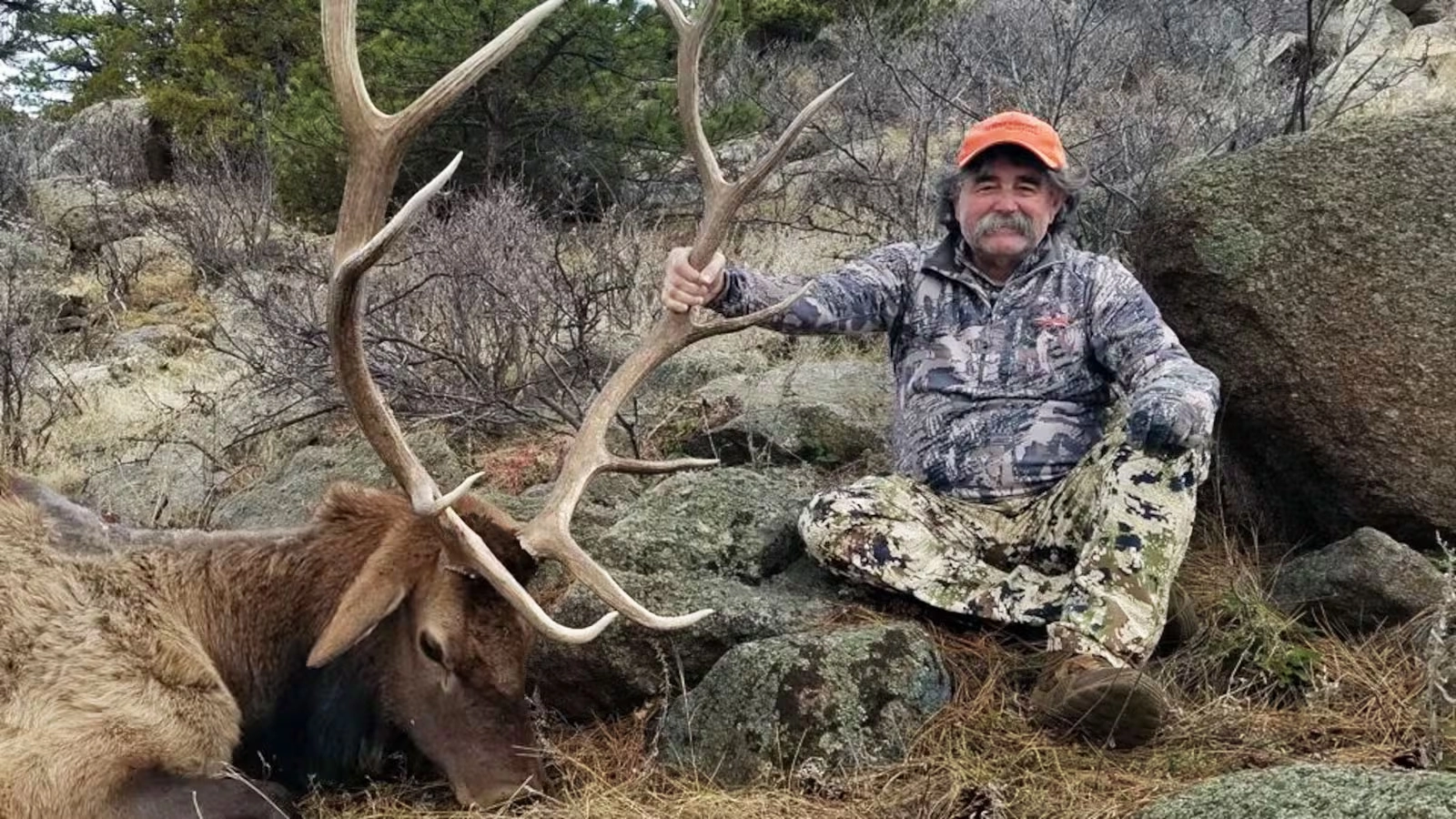 Millionaire game hunter dies after being trampled on by herd of elephants