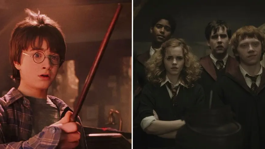 'Real order' you should watch all of the Harry Potter films in