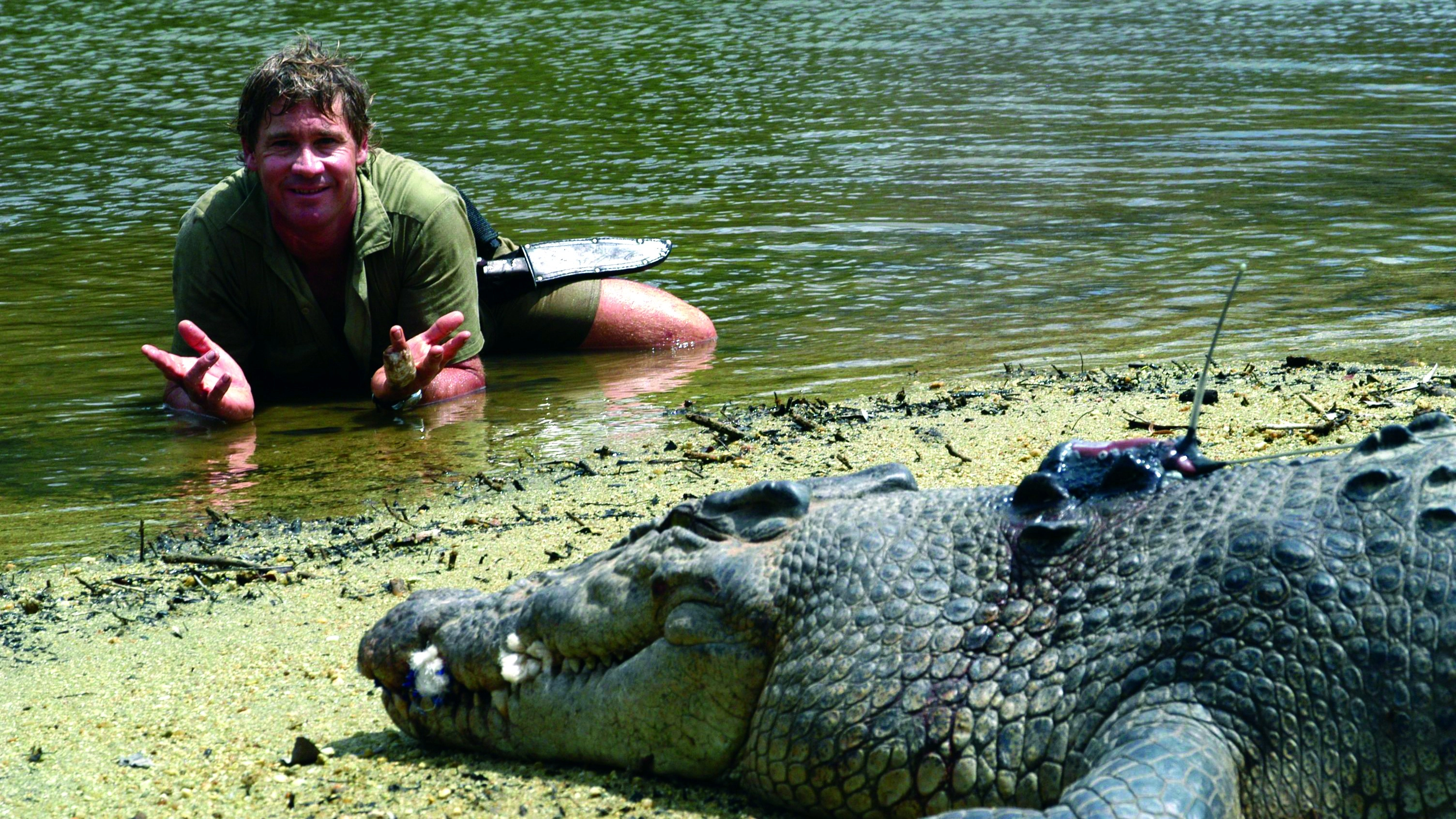 Truth behind video of Steve Irwin’s death that nobody will ever see
