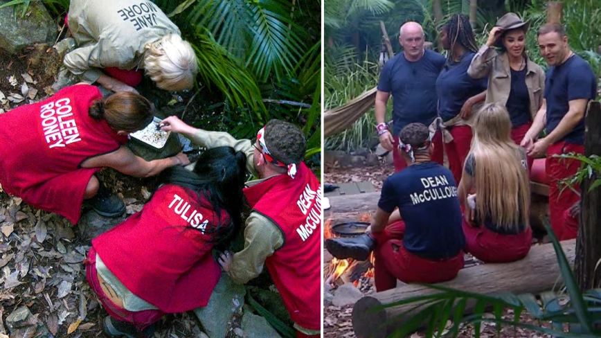 I'm A Celeb legend reveals one gross task campmates don’t actually have to do