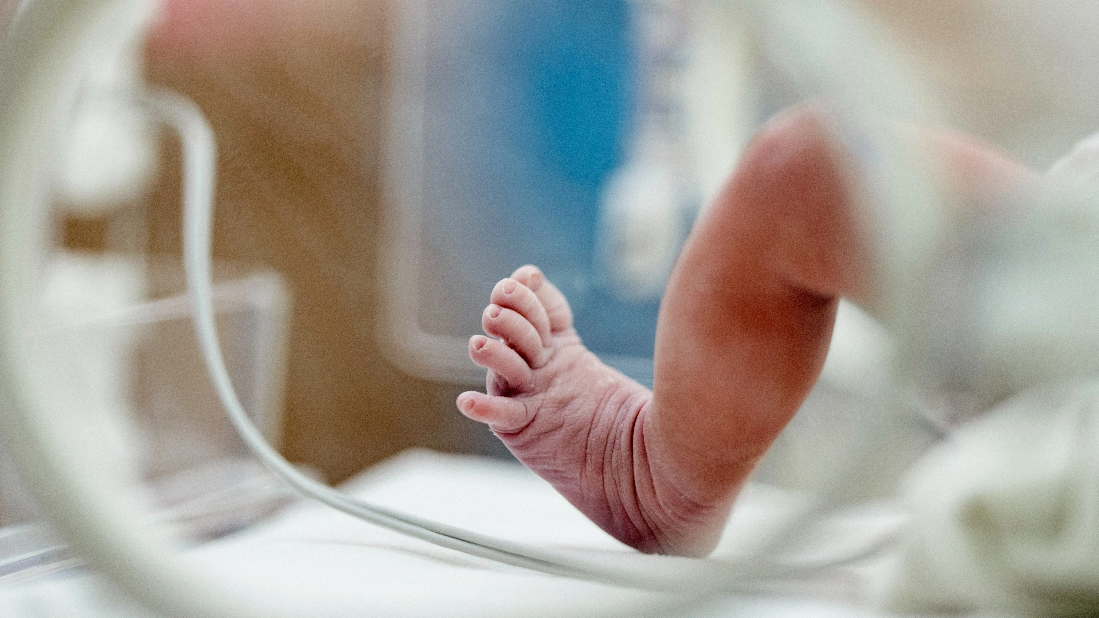 People are predicting major baby boom in June 2026 thanks to one cultural moment