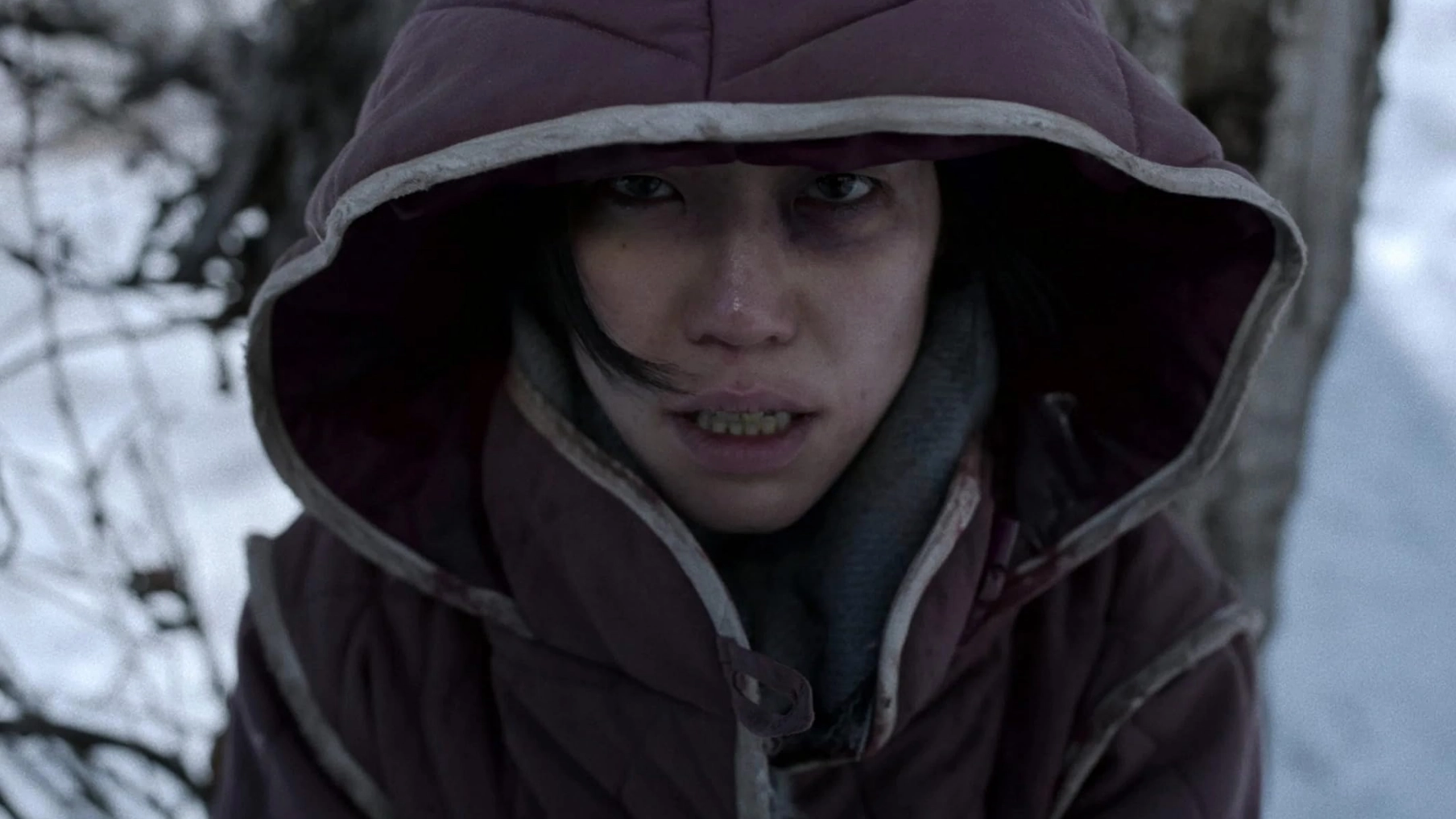 Stephen King loves ‘existential hell’ Netflix series binged for 81 million hours