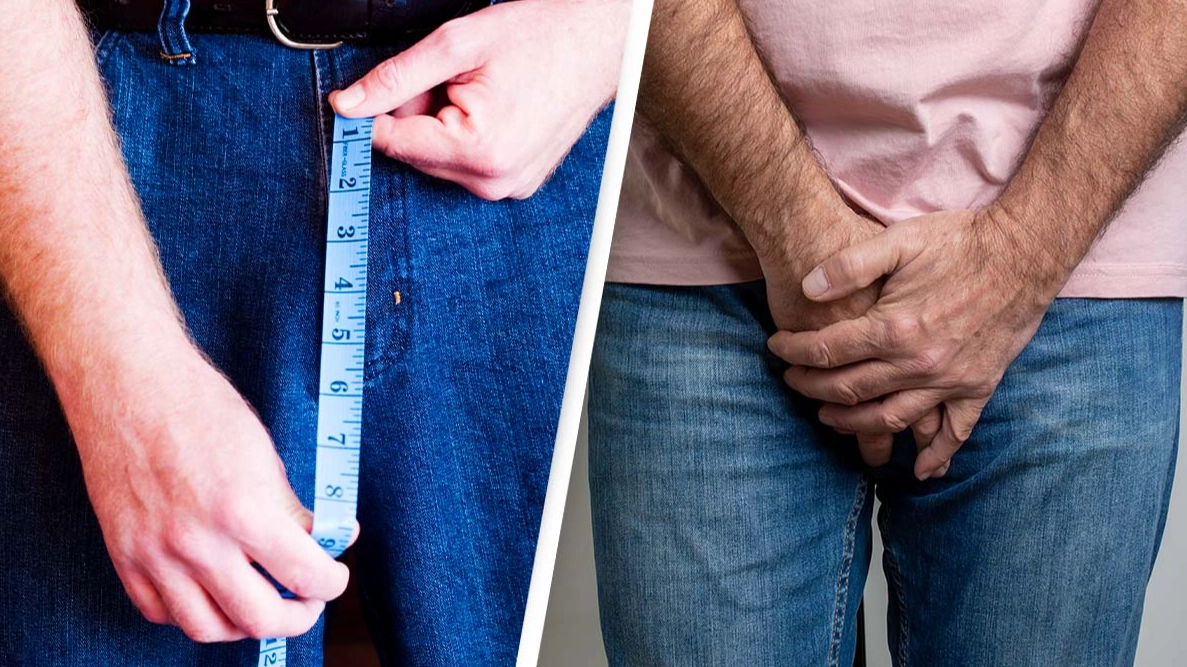 Scientists reveal how human penises are getting bigger and why it might not be a good thing