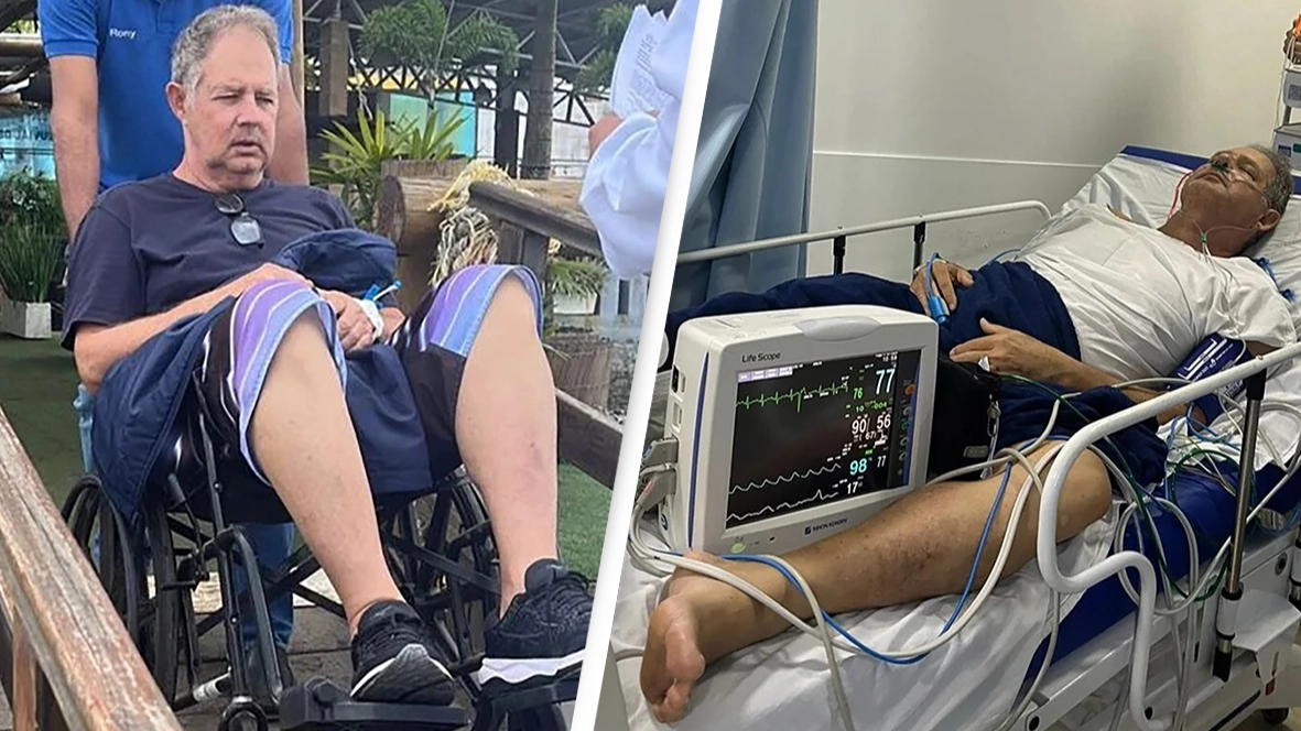 Man dies after being bitten by venomous spider hiding in restaurant chair
