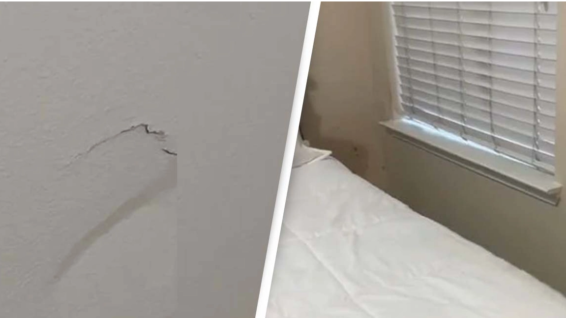 Woman Shocked Over Gory Discovery In Airbnb