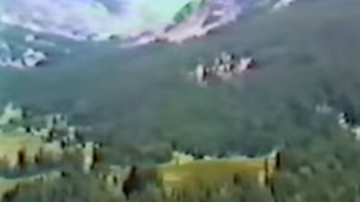 Terrifying footage captures fatal plane crash and pilot's final words from inside cockpit