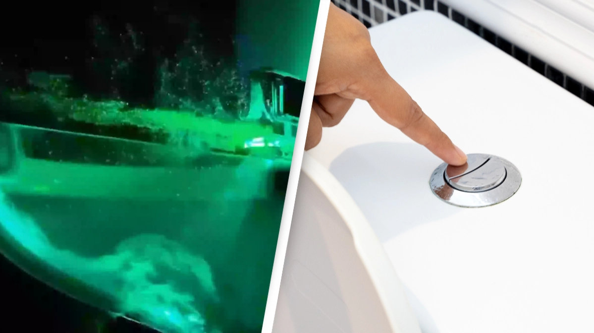 Disturbing video shows what really happens if you don't close your toilet lid before flushing