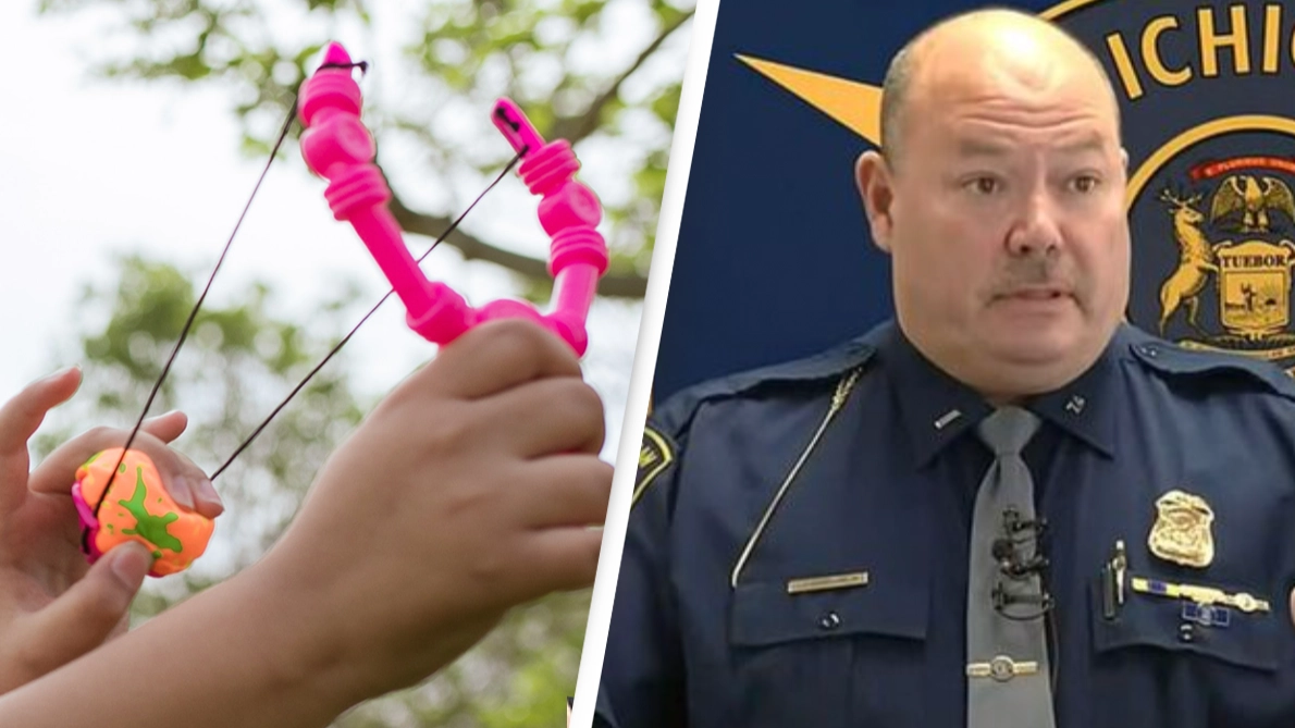 Police heap praise on boy who saved his little sister from being abducted with his toy slingshot