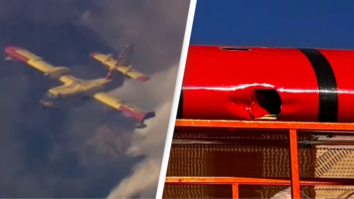 Firefighting plane forced to be grounded after being hit and damaged by civilian drone as warning issued