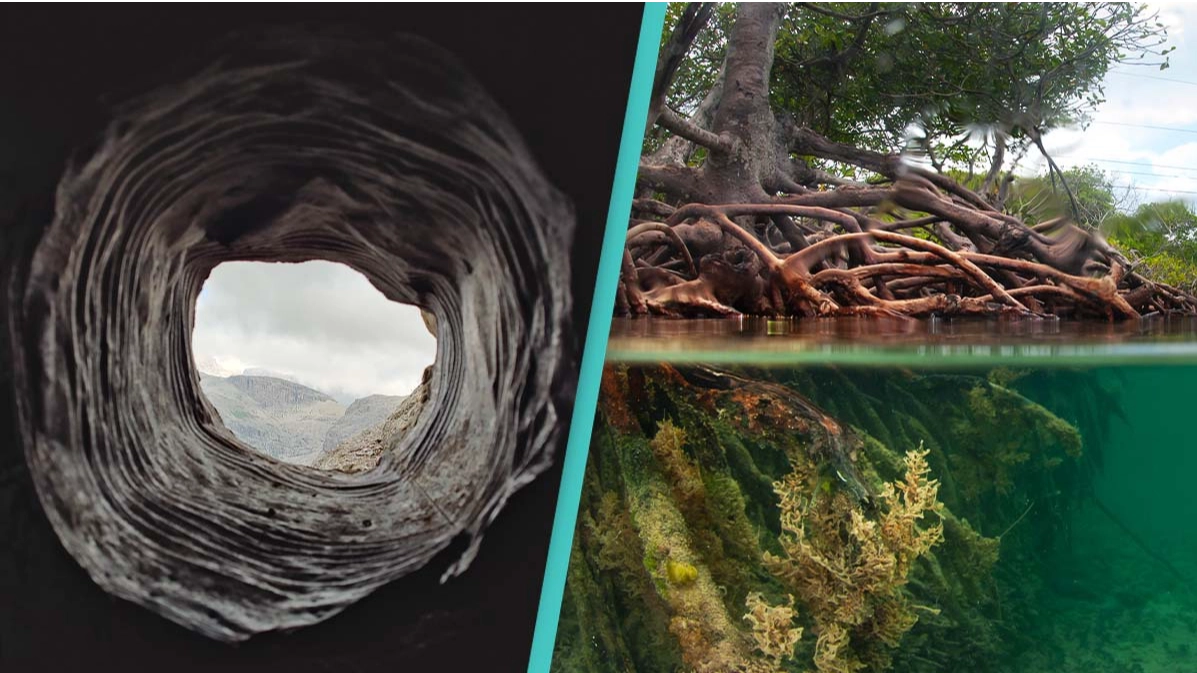 There's an unbelievably massive ecosystem beneath Earth's surface that we still know hardly anything about