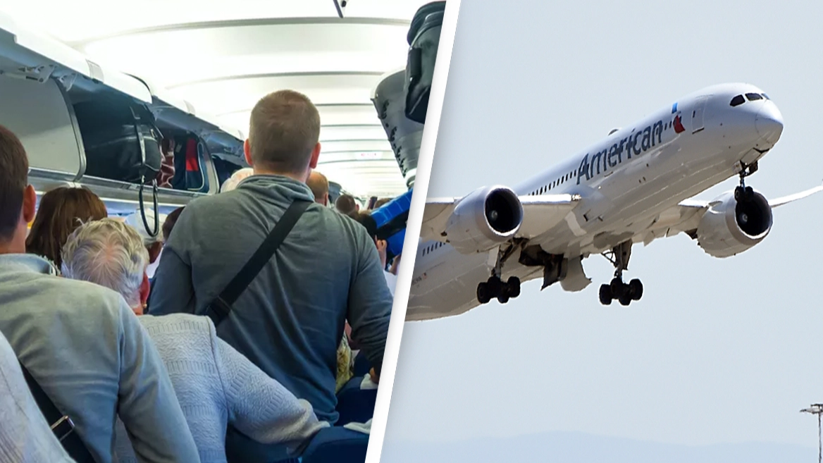 Plane makes emergency landing after passenger spots something crawling in woman's hair