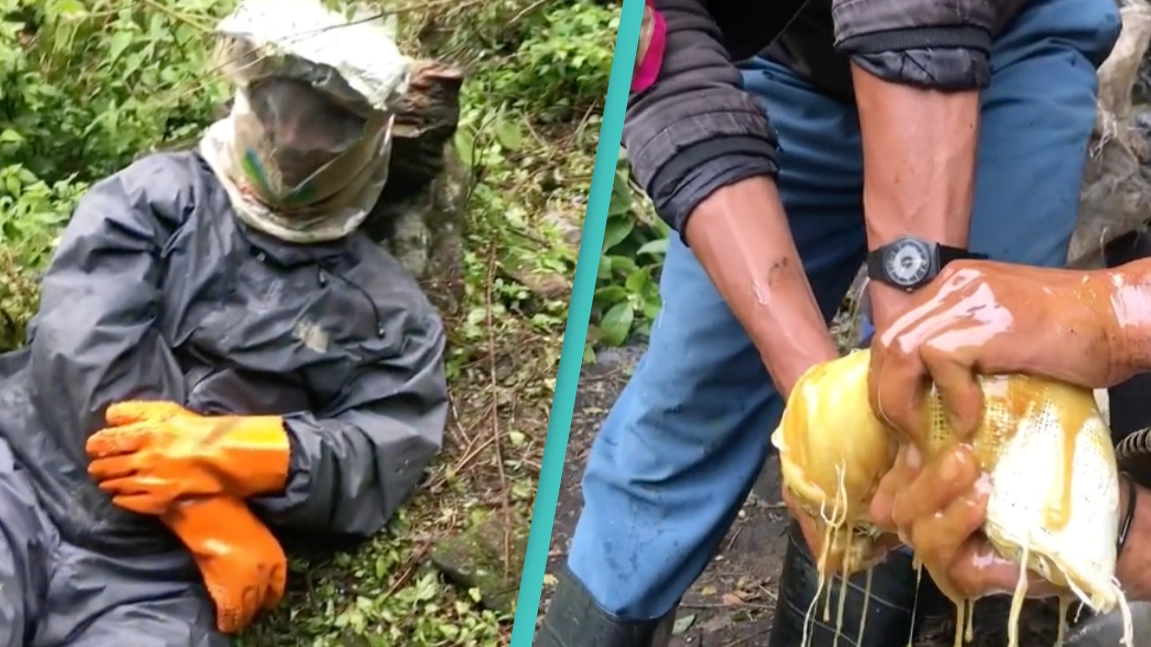 The 'mad honey' that can cause hallucinations and poison you