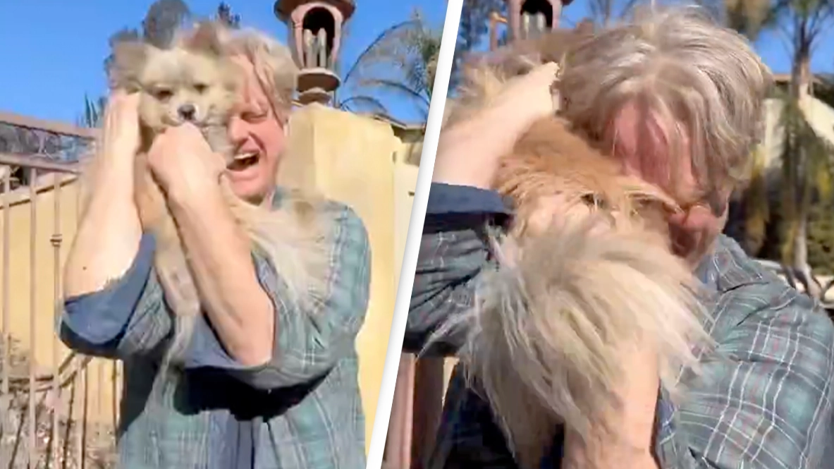 Incredible moment LA wildfire victim reunites with dog after his pet spent five days in the rubble