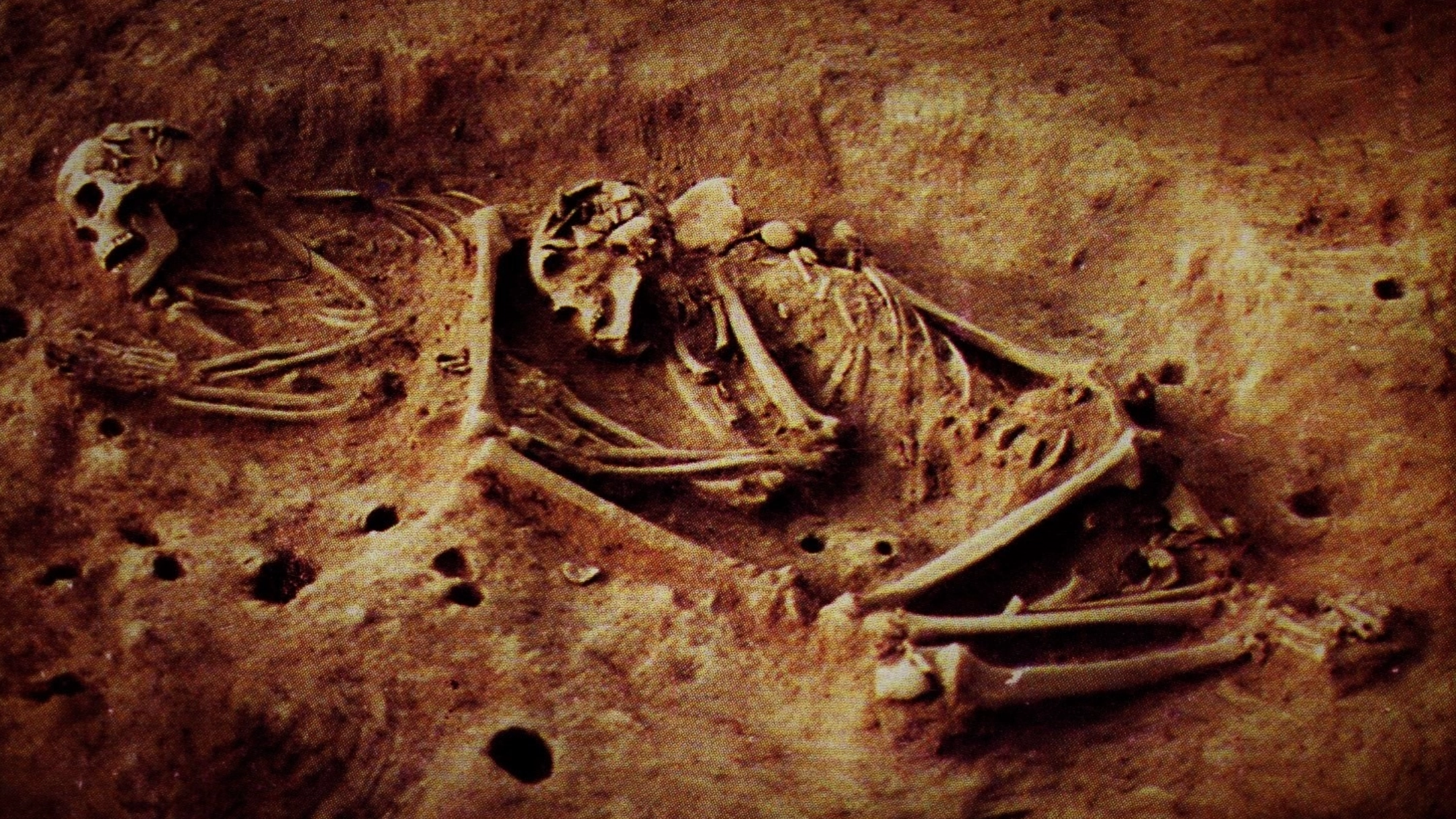 Archeologists discover 6,000-year-old skeletons with unexplained DNA that could rewrite history