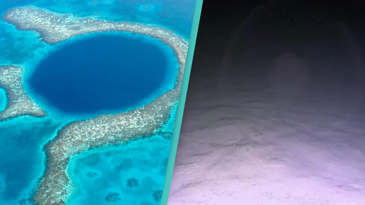 Divers share disturbing discovery after finally getting to the bottom of the Great Blue Hole