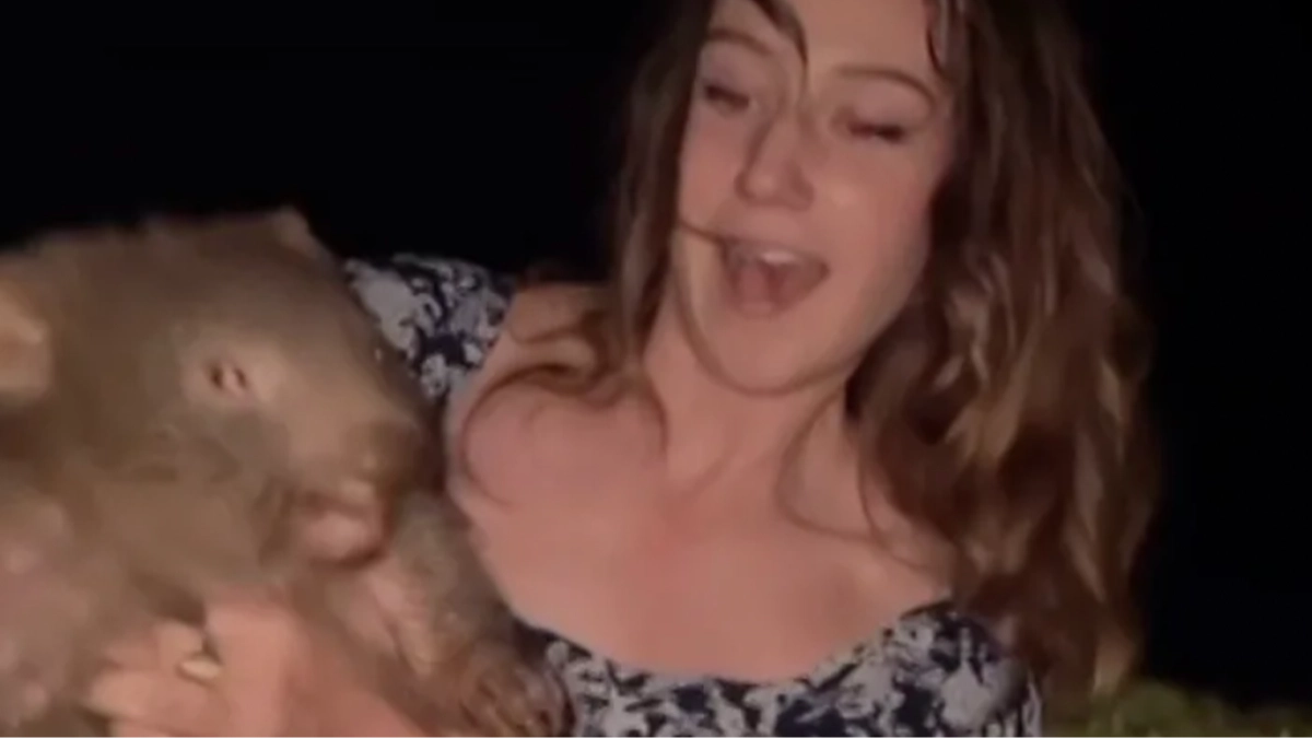 Influencer forced to flee Australia after enraging locals with viral video of her taking baby wombat from its mother