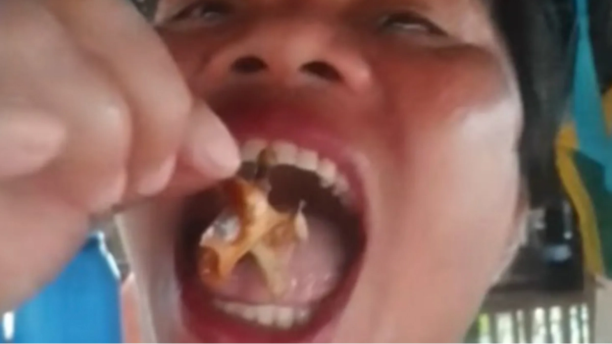 Authorities issue urgent warning as food blogger dies after eating ‘devil crab’