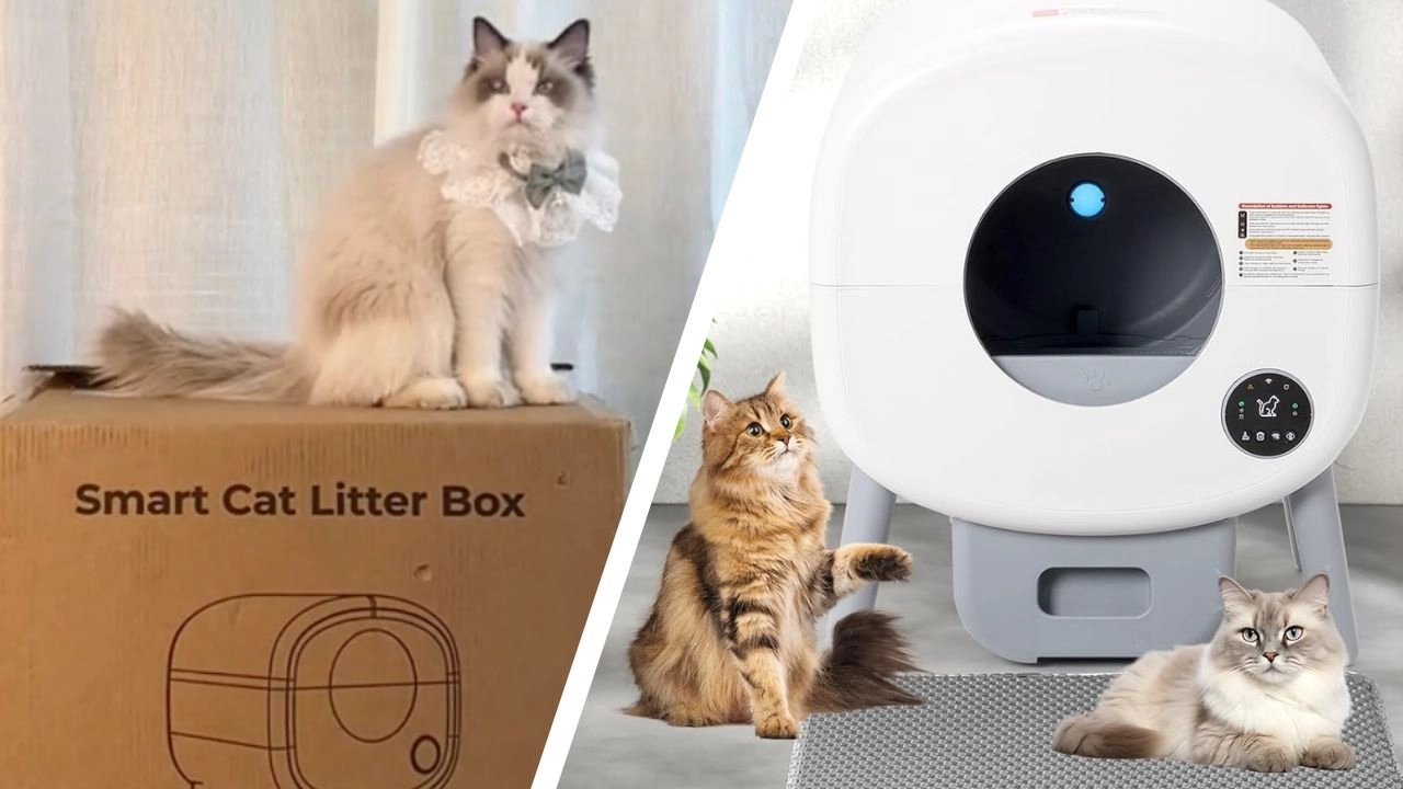 Cat owners are raving about a 'game-changing' self-cleaning litter box - and it's selling fast
