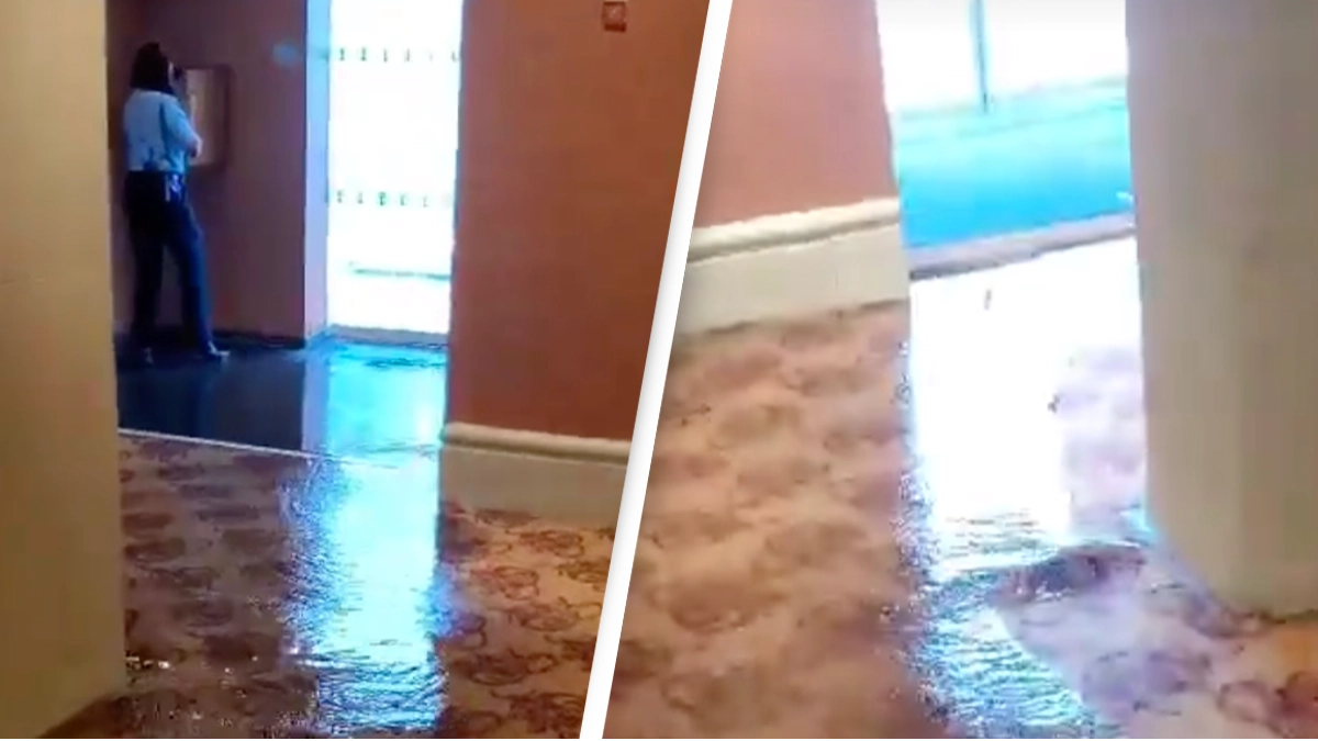 Passengers on nine-month cruise around the world share horrifying videos of flooding