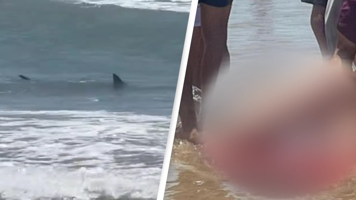 Horrifying footage shows shark circling beach after several 'extremely rare' back-to-back attacks