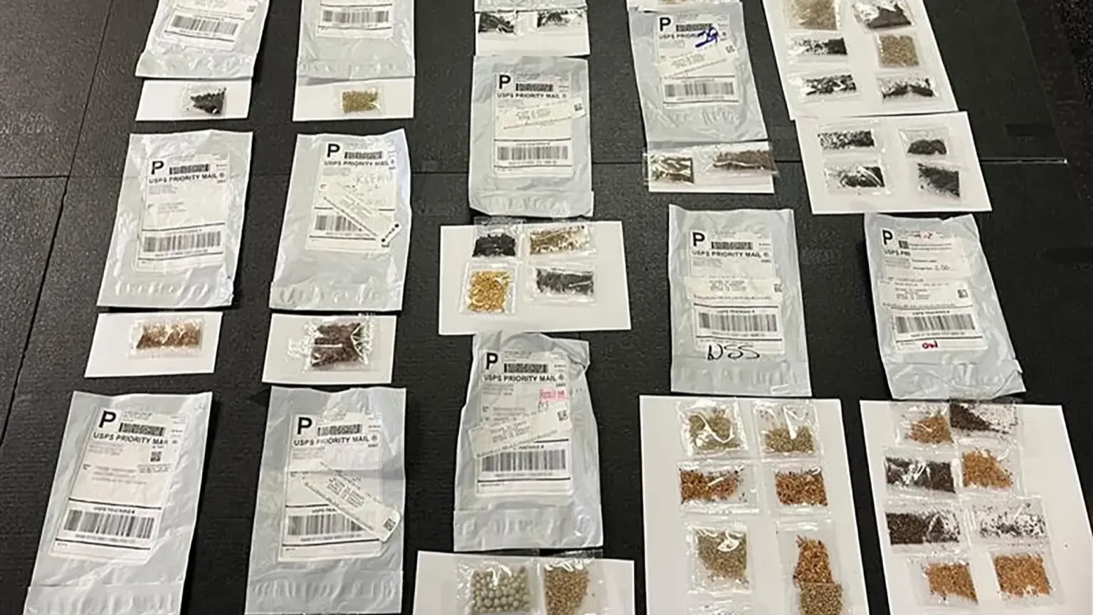 Experts issue severe warning as mysterious seeds from China are being mailed to US homes