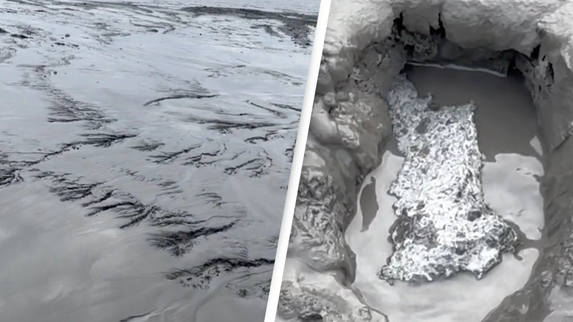 People warned about mudflats that look like regular ground but will ‘suck you up’
