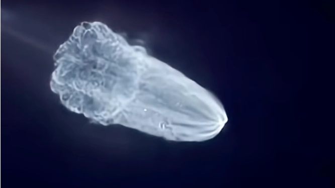 Truth behind ‘space jellyfish’ phenomenon as China takes giant leap forward in space race