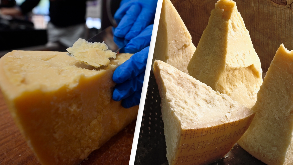 People shocked after learning why Parmesan cheese isn’t vegetarian